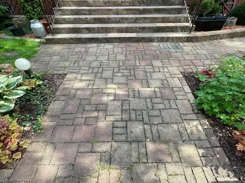 Steinreinigung Vorher