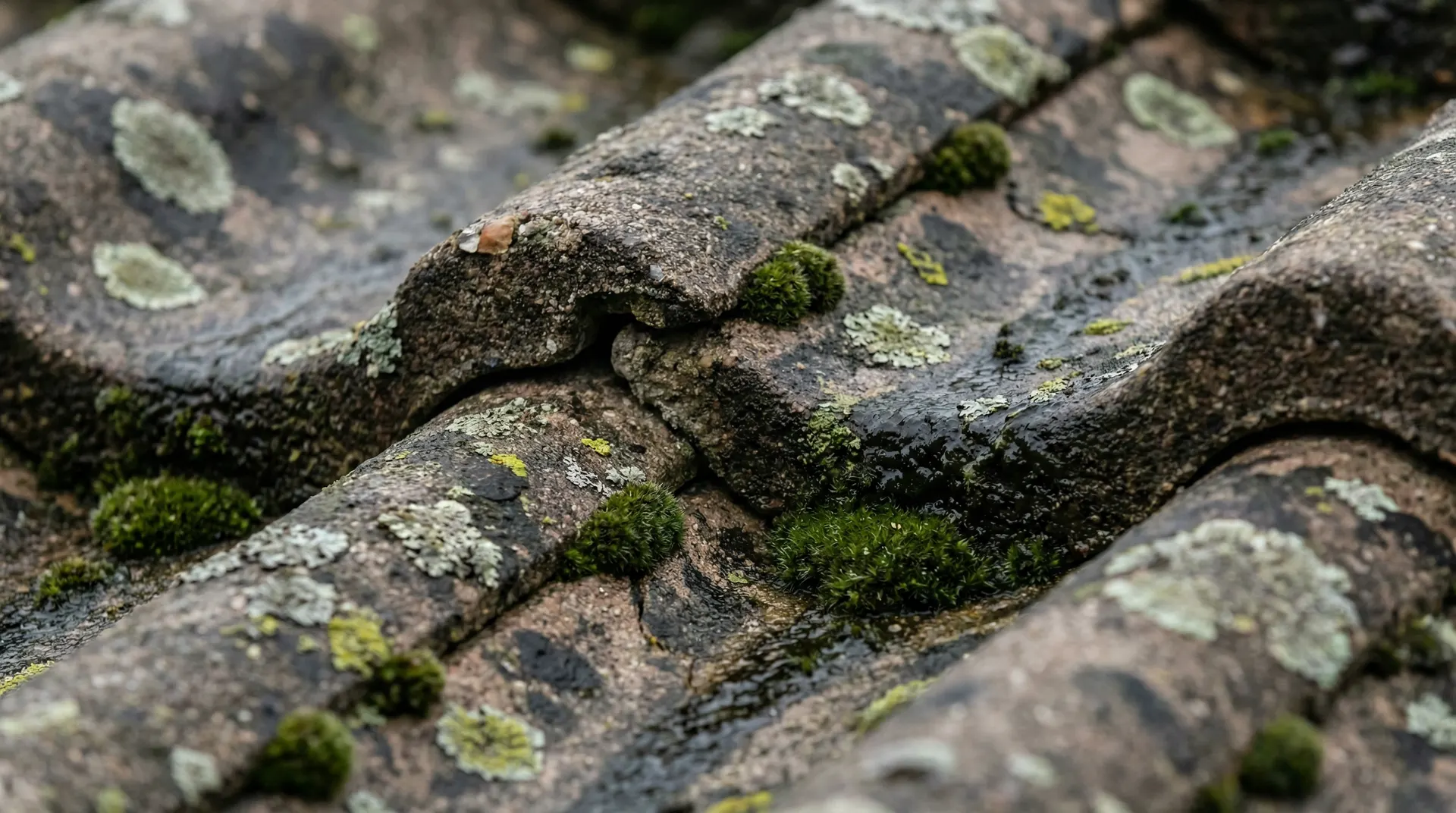 Dach vorher