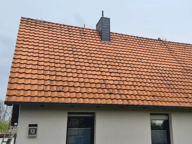 Tonziegelreinigung Vorher